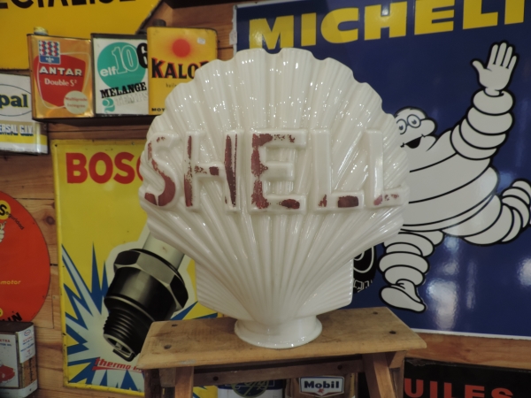 Opaline Shell- efghi14112024-2_142.JPG